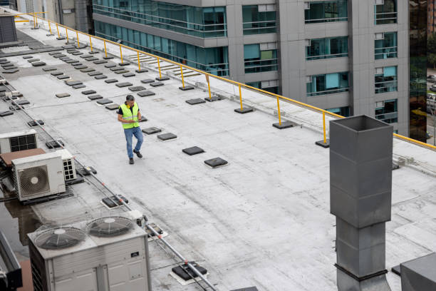 Best Roof Maintenance and Cleaning  in Lago Vista, TX