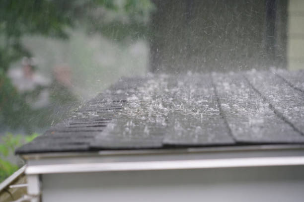 Best 4 Ply Roofing  in Lago Vista, TX